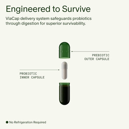 Daily Synbiotic